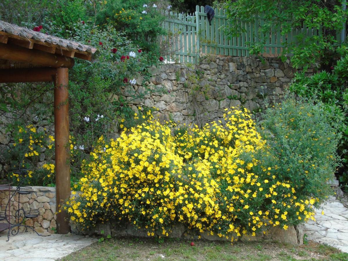 Mas Des Citronniers Bed & Breakfast Le Tignet Exterior foto